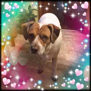 Meet your Posher, Tina